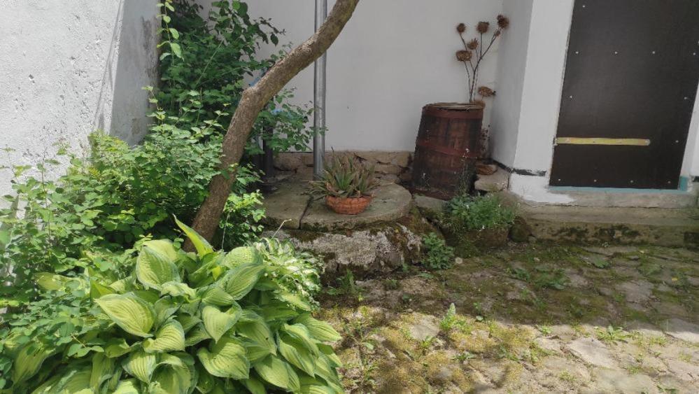 Ubytovani Pod Jilmem Zumberk Εξωτερικό φωτογραφία